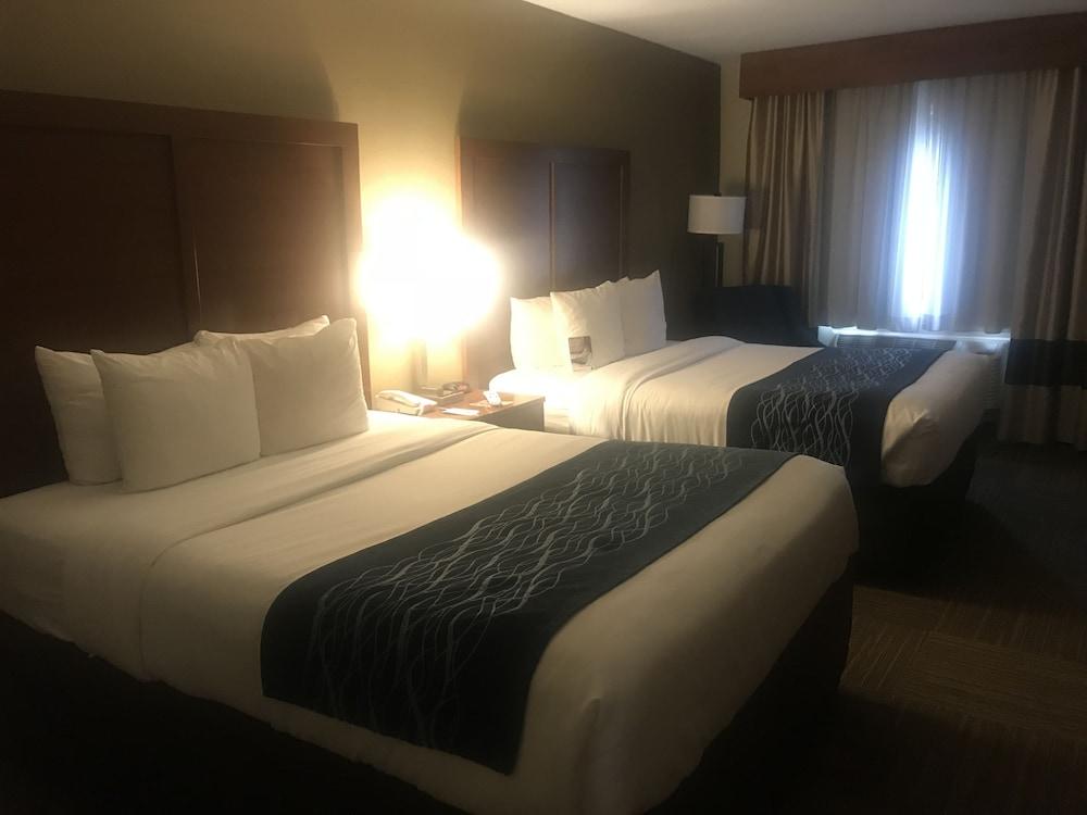 Comfort Inn Edgewater On Hudson River מראה חיצוני תמונה